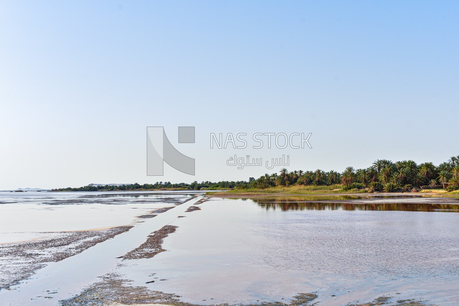 One of the lakes in Siwa Oasis