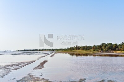 One of the lakes in Siwa Oasis