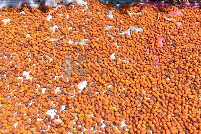 A scene of a group of dates stacked under the sun to dry them