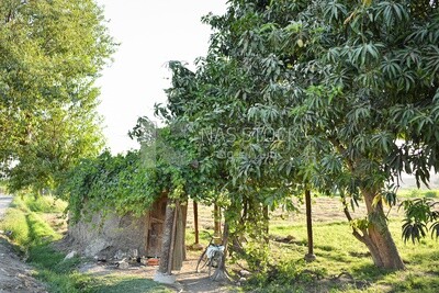 A small hut in the field where the farmer rests