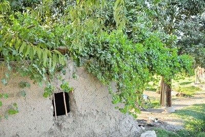 A small hut in the field owned by a farmer