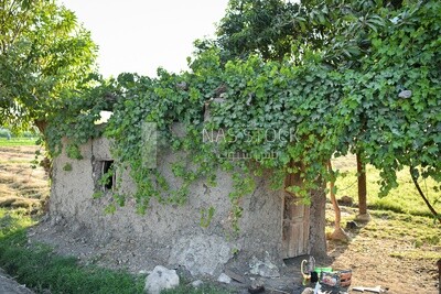 A small hut in the field where the farmer rests