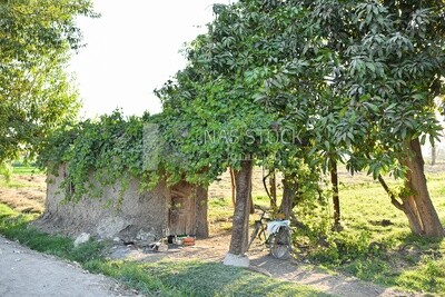 A small hut in the field where the farmer rests