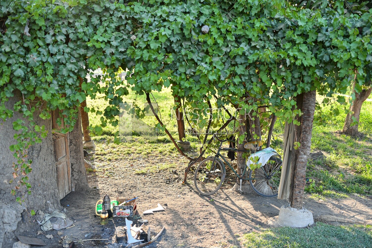 Little hut in the field with farmer&#39;s stuff