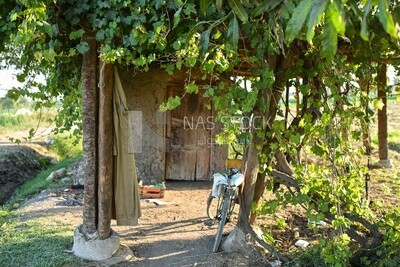 A small hut in the field where the farmer rests
