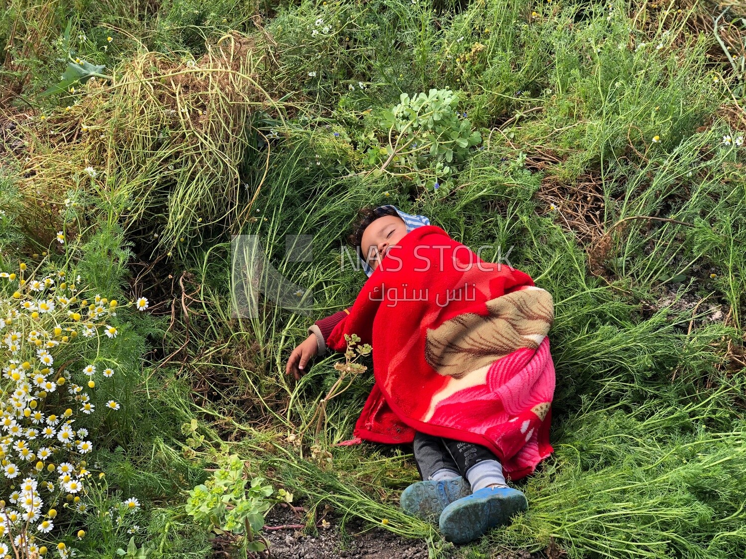 A sleeping baby in the field among the plants