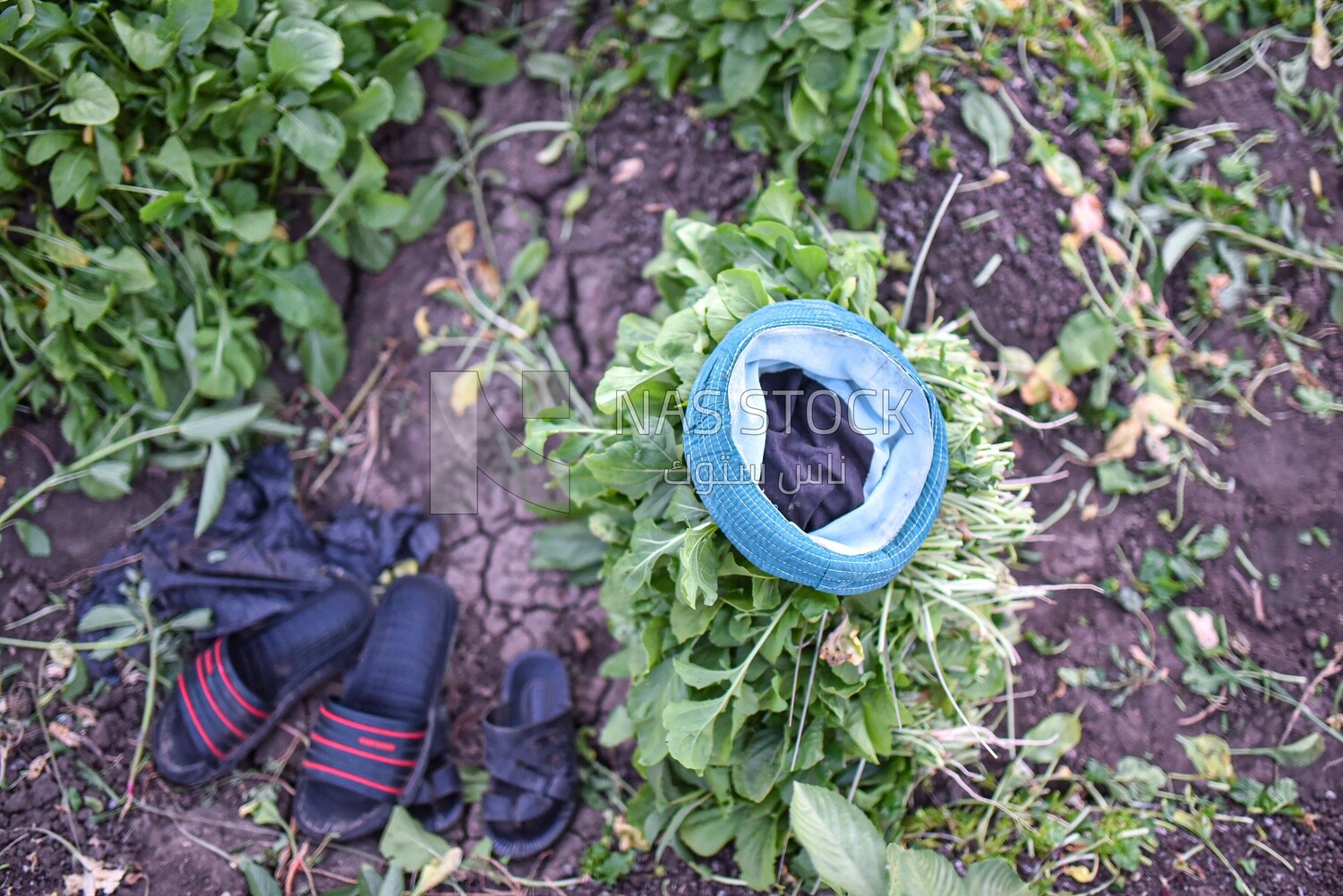 A scene of farmer&#39;s clothes in the field