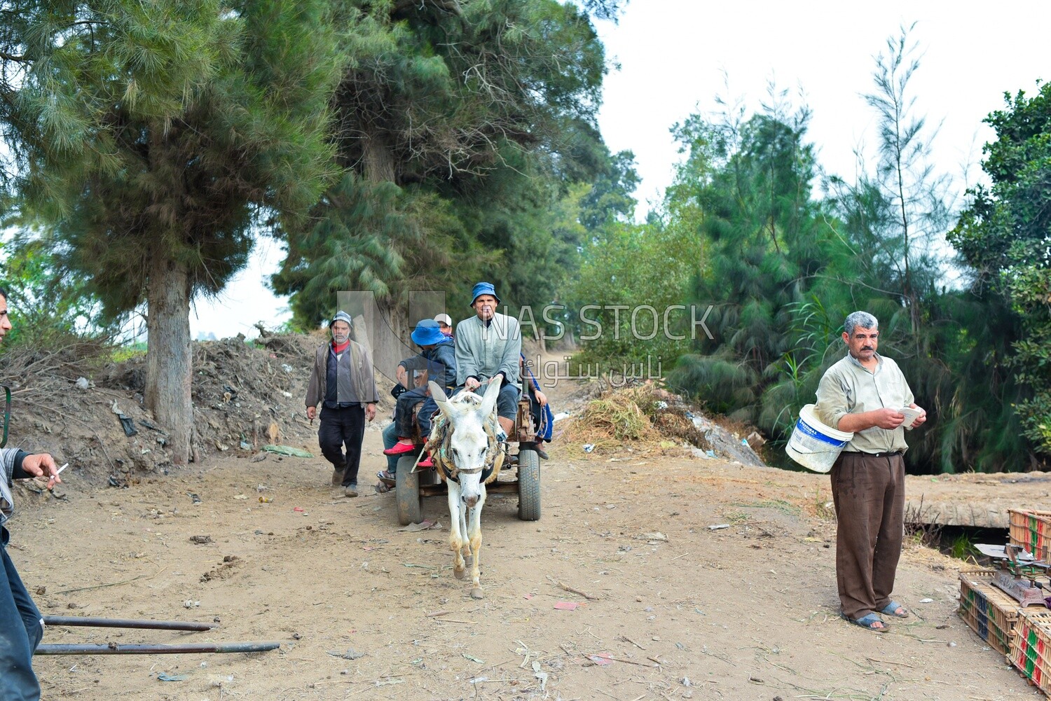 A scene of men riding a donkey cart and walking in a street in the Egyptian countryside