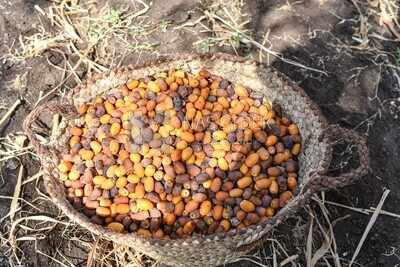 A scene of a basket full of dates