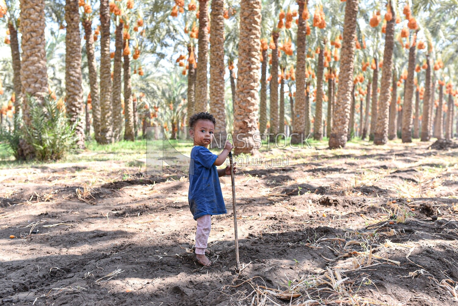 Egyptian rural child