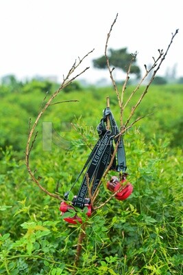Headlights for farms in the field