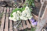 A scene of a bouquet of white flowers