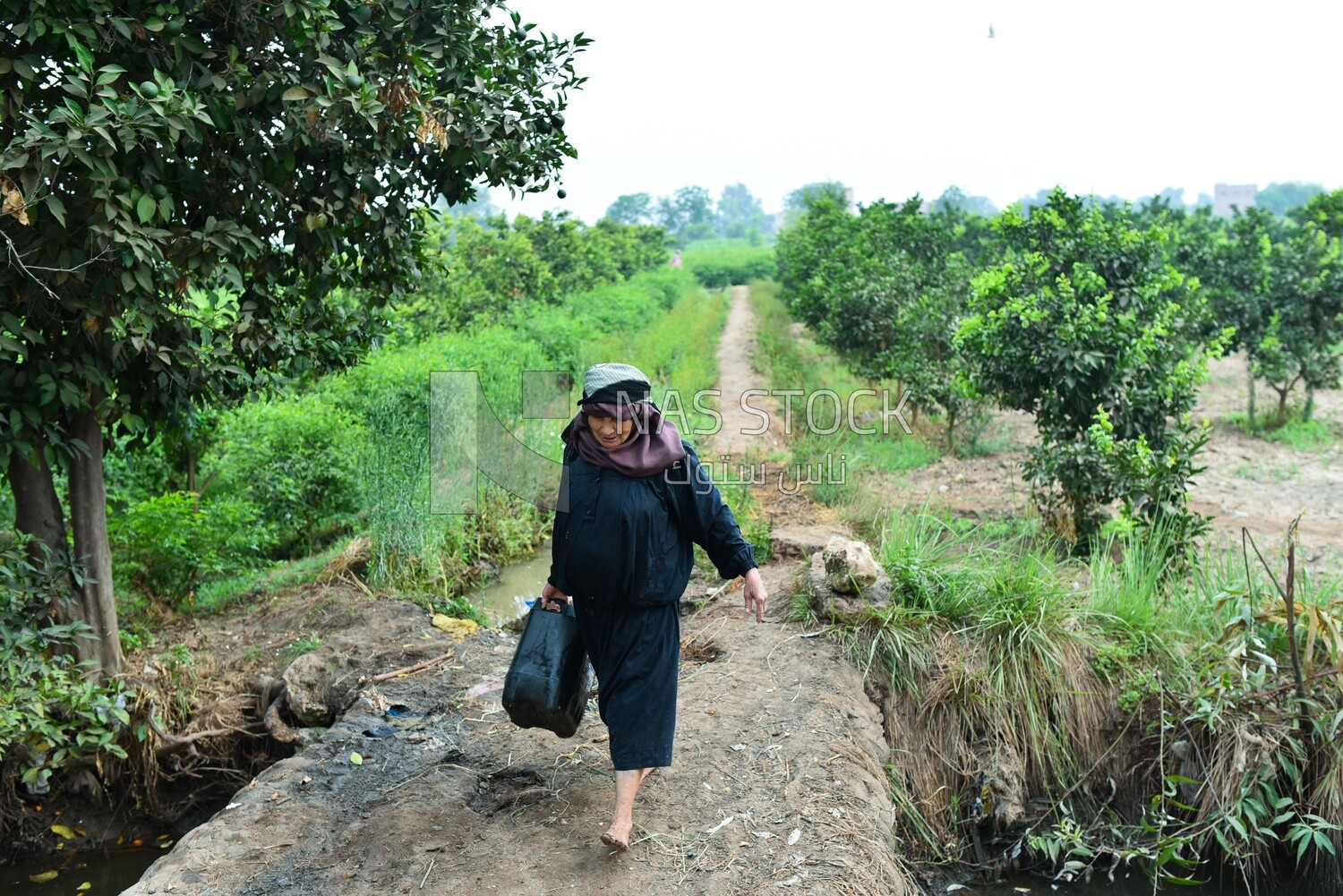 An Egyptian woman returning after watering the plants