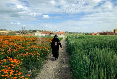 Scene of a woman walking among the fields of flowers