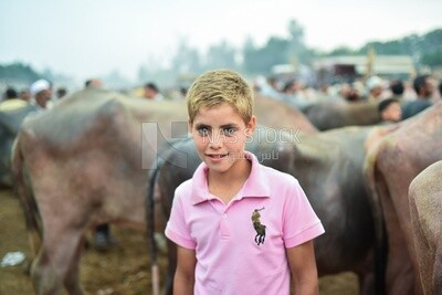 An Egyptian rural child in the livestock market