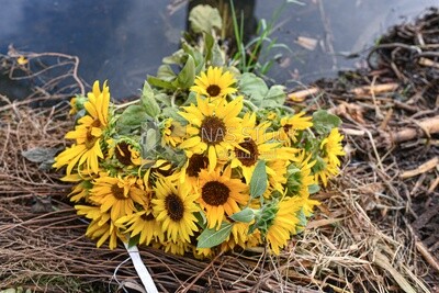 Bouquet of sunflowers