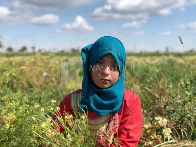 Young Egyptian girl stands in the field among chamomile flowers