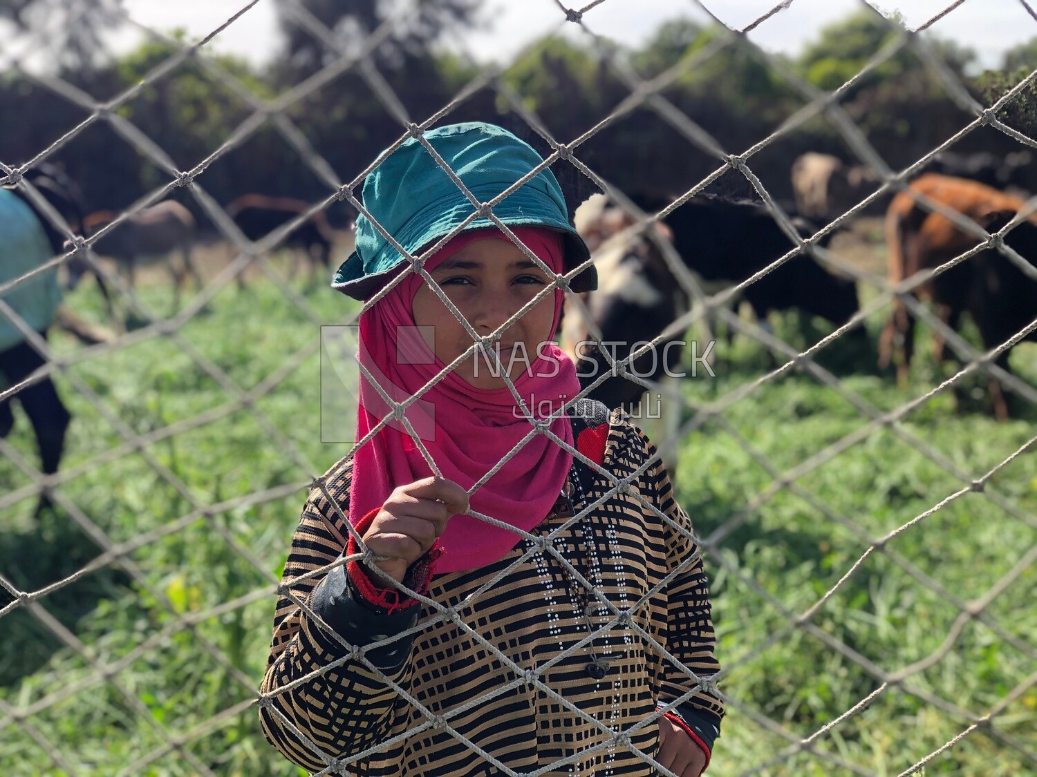 Little Egyptian girl stands behind a field fence