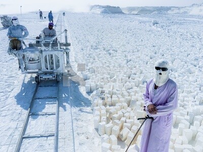 A scene from one of the stages of making white bricks