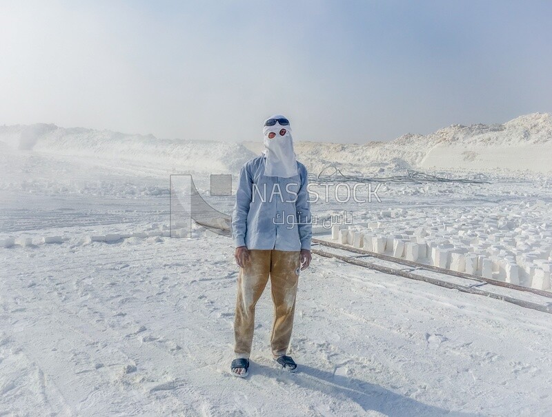 An Egyptian craftsman standing in the middle of the white brick mountains