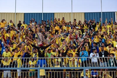 Football fans in the stadium