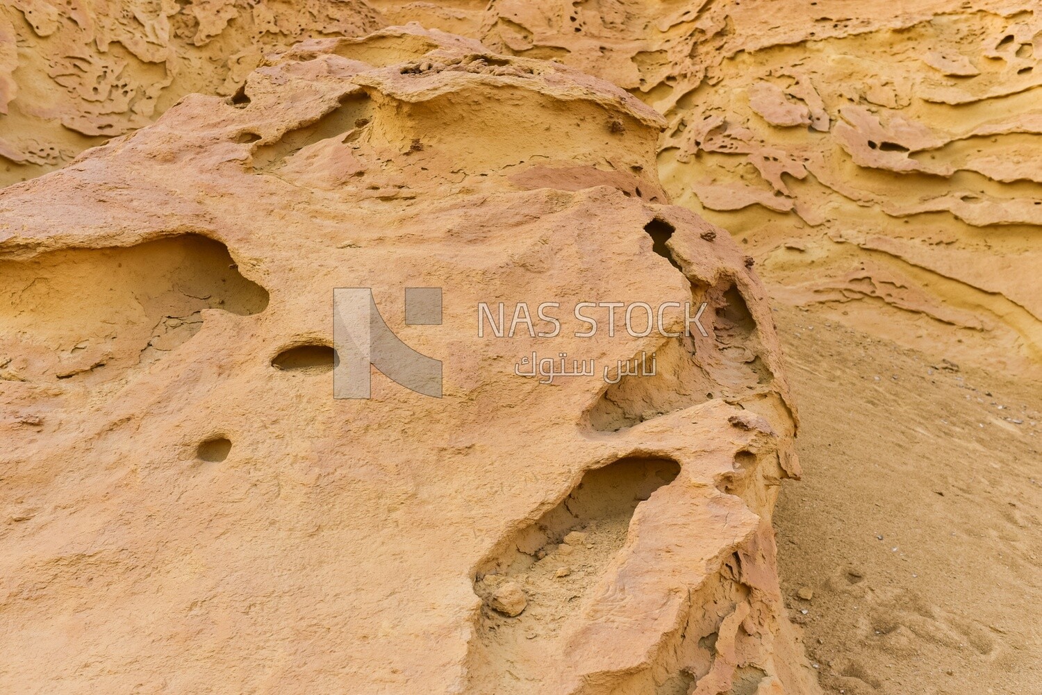 Scene of excavations inside the sandstones of Wadi El Hitan in Egypt