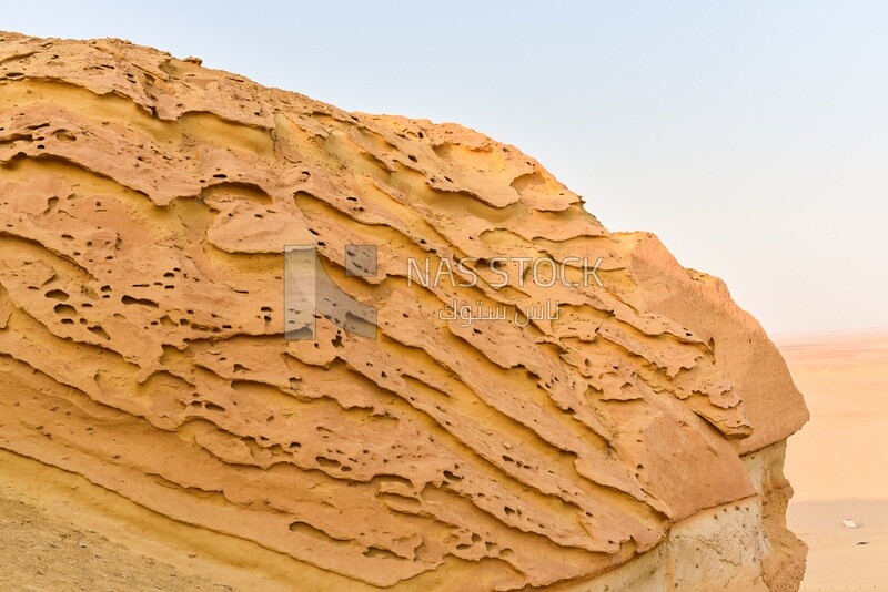 Sandstone texture resulting from erosion in Wadi El Hitan, Egypt