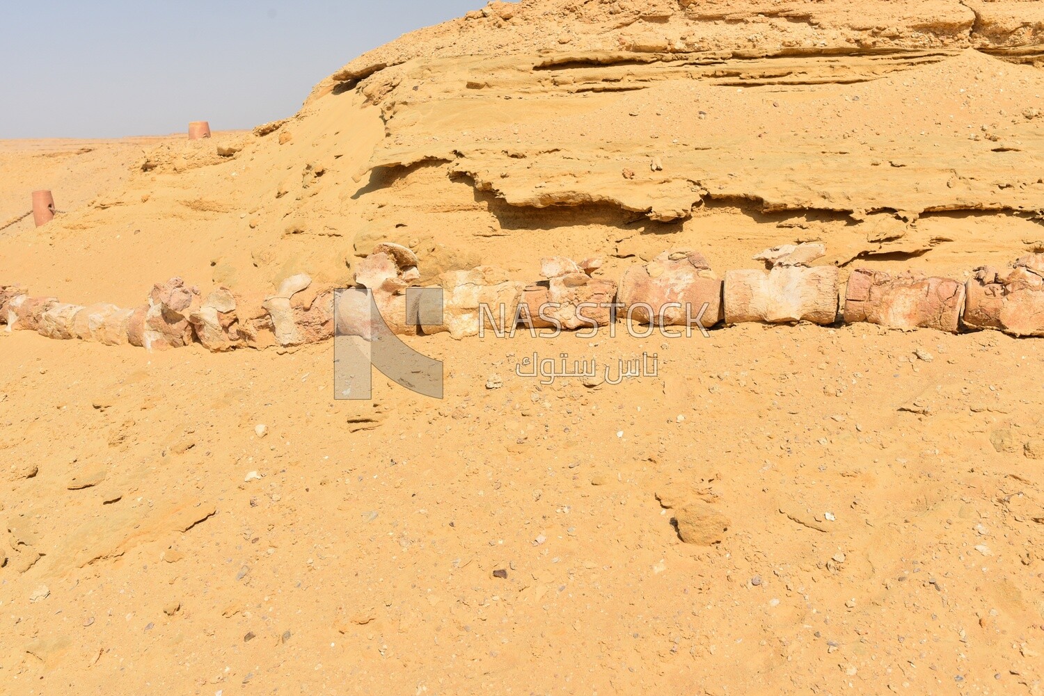 A whale skeleton in Wadi El Hitan, Egypt