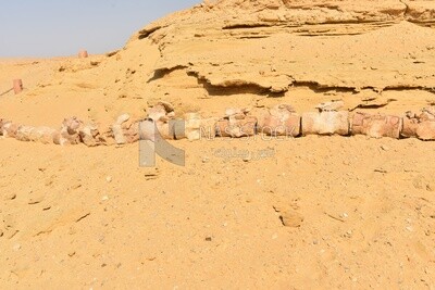 A whale skeleton in Wadi El Hitan, Egypt