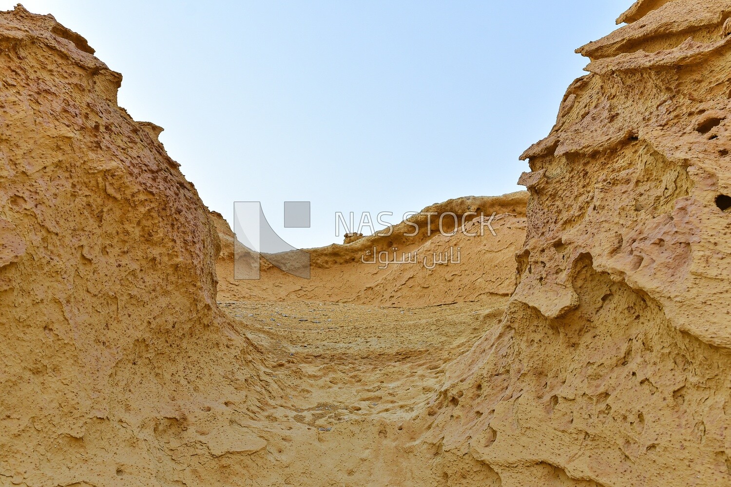 A scene from the Wadi El Hitan desert in Egypt