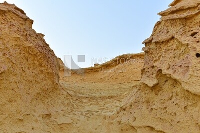 A scene from the Wadi El Hitan desert in Egypt