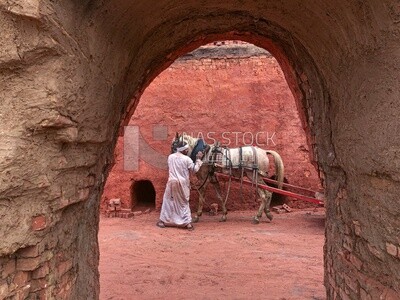 An Egyptian craftsman prepares his horse to transport bricks