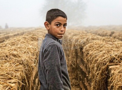 Child works with his father in the brick industry