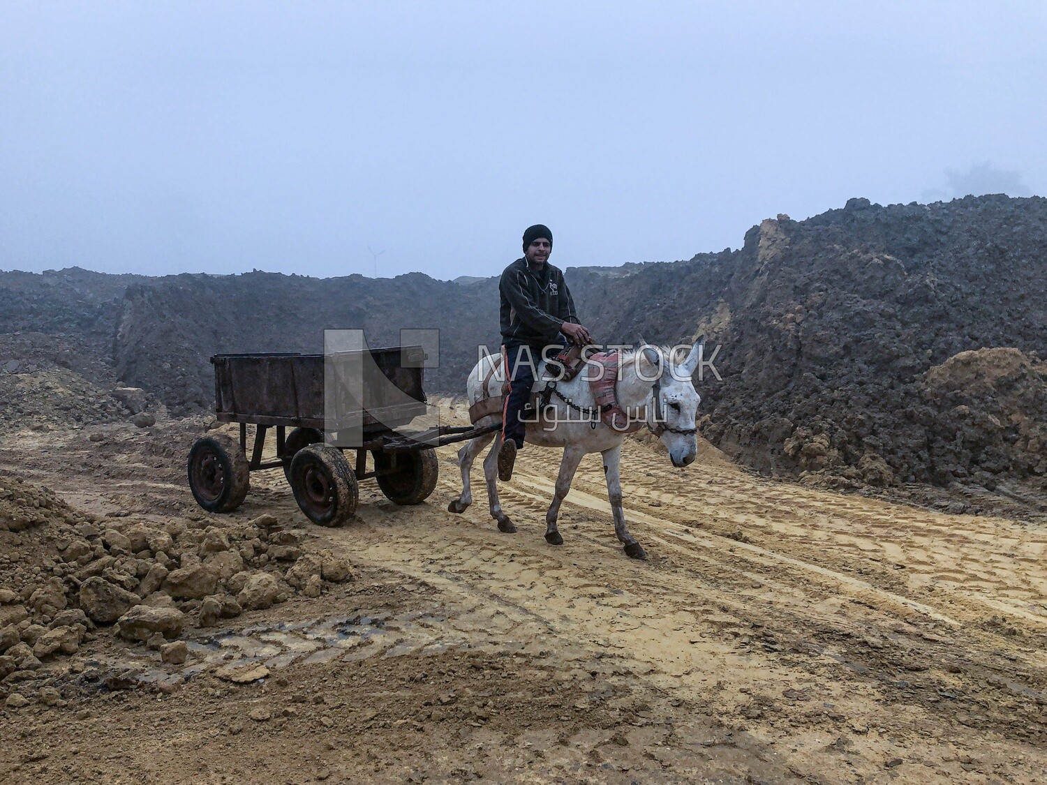 A man rides a donkey cart that he uses to transport bricks