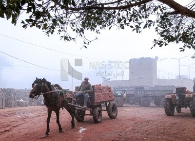 A man riding a horse cart, which he uses to transport bricks