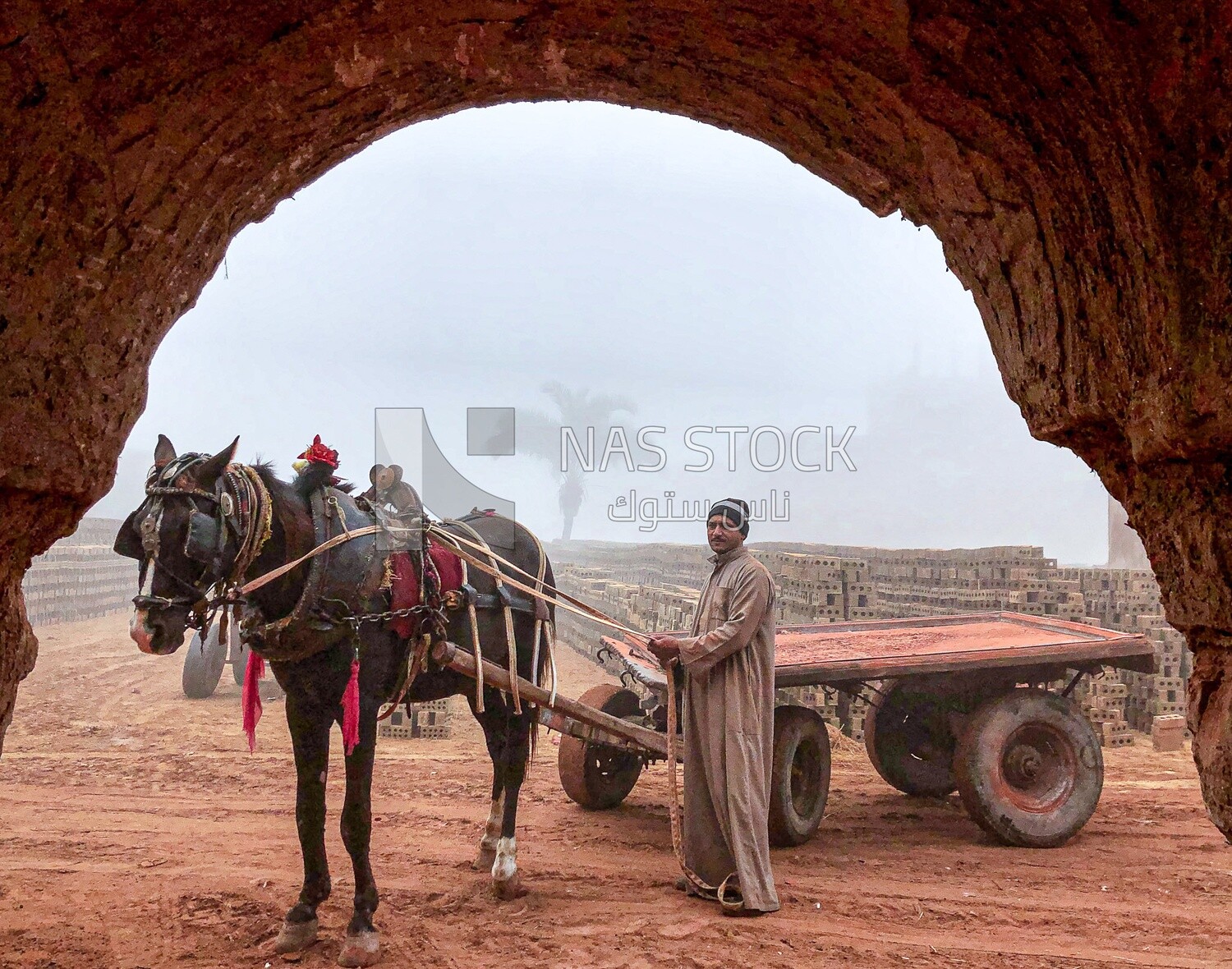 A man owns a horse cart that he uses to transport bricks