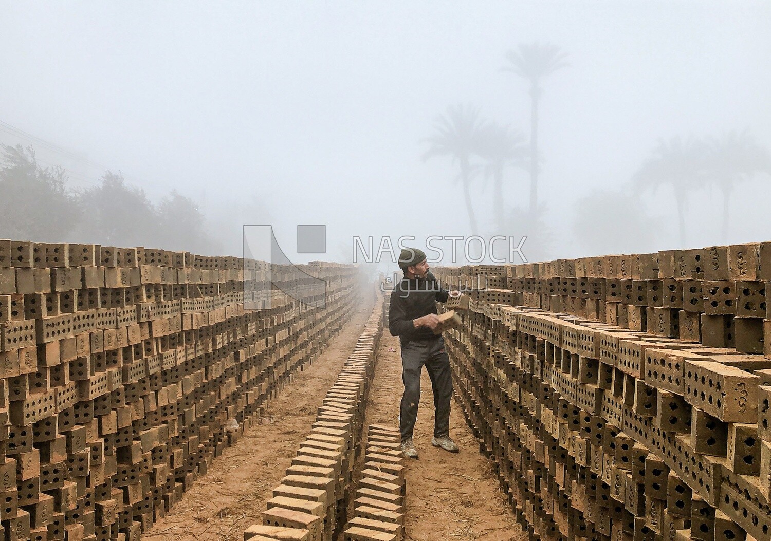An Egyptian craftsman arranging the bricks