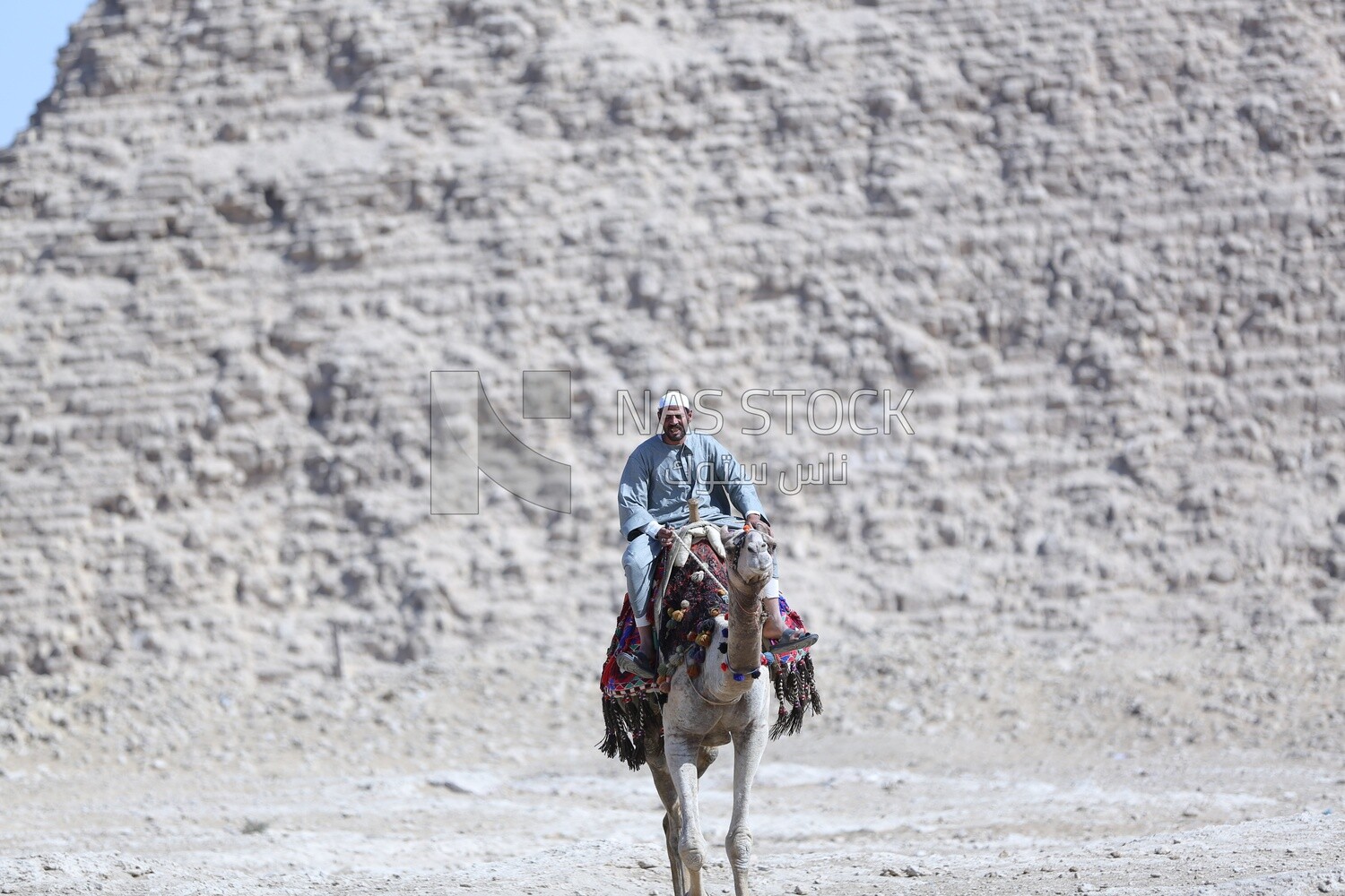 An Egyptian man riding a camel in front of the Great Pyramid