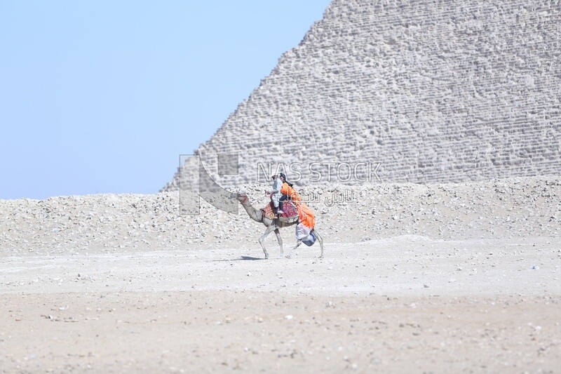An Egyptian man riding a camel with a tourist in the pyramids in Giza
