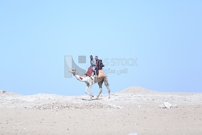 An Egyptian man riding a camel with a tourist in the pyramids in Giza