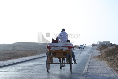 Man riding a tourist horse carriage