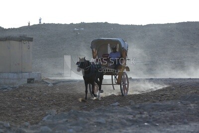 Man riding a tourist horse carriage