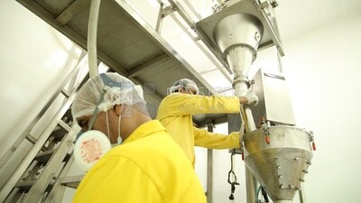 Factory workers wearing yellow suits, masks and headscarves