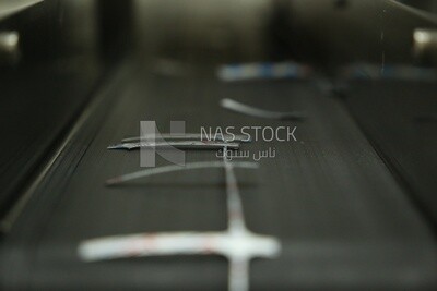Conveyor belt
