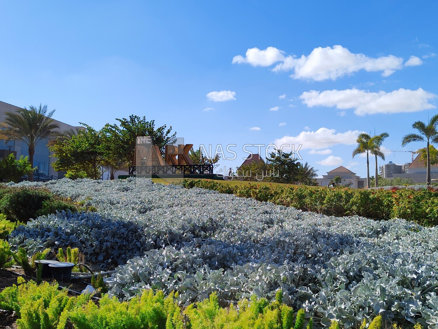 Garden full of blooming flowers with a stunning landscape