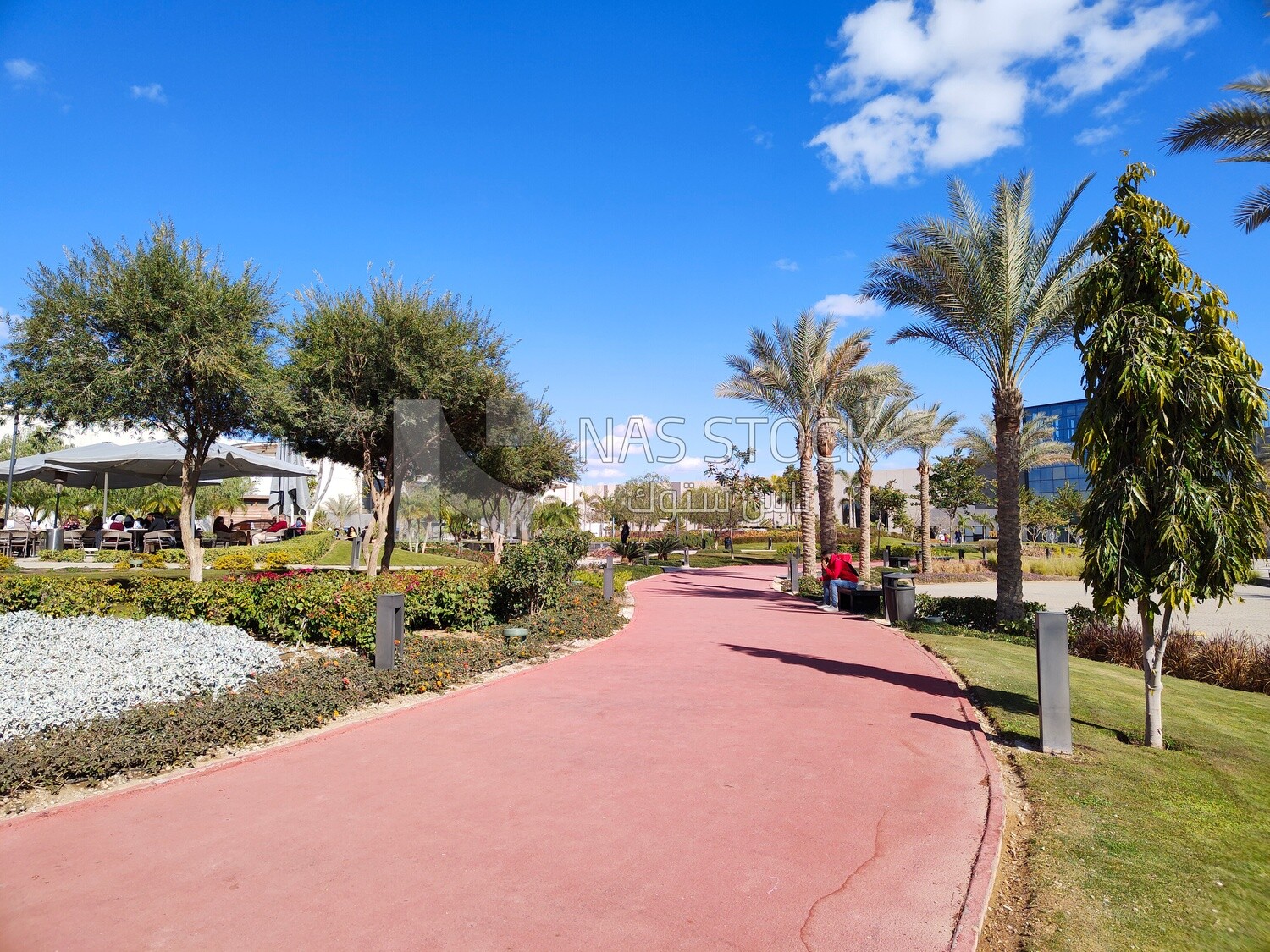 Garden with a scenic view and dense trees at noon.