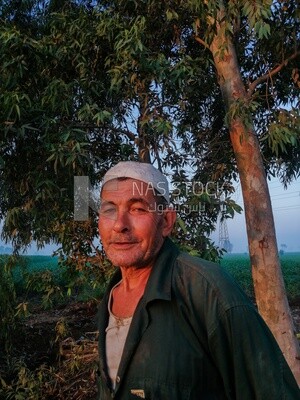 Close-up photo of a farmer on a field, rural road, farm trees, and green plants, farm fields, trees and crops, farmland, a scenic landscape