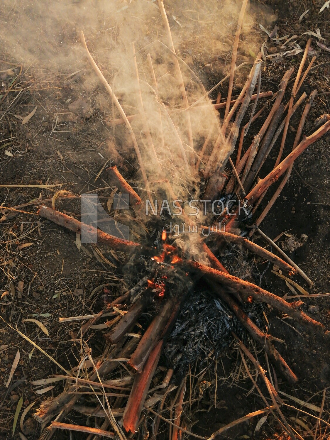 Wood burning on a field, Farmland, rural life, farm trees, and green plants, farm fields, trees and crops, farmland, a scenic landscape
