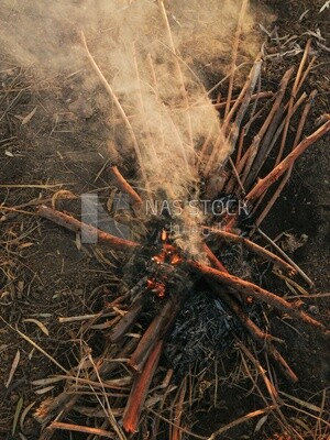 Wood burning on a field, Farmland, rural life, farm trees, and green plants, farm fields, trees and crops, farmland, a scenic landscape