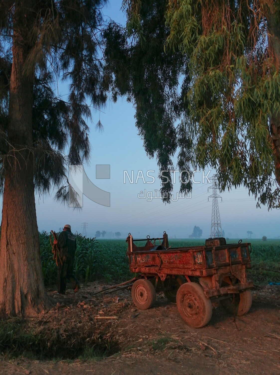 Farmer standing on a field during the sunset, farm trees, and green plants, farm fields, trees and crops, farmland, a scenic landscape